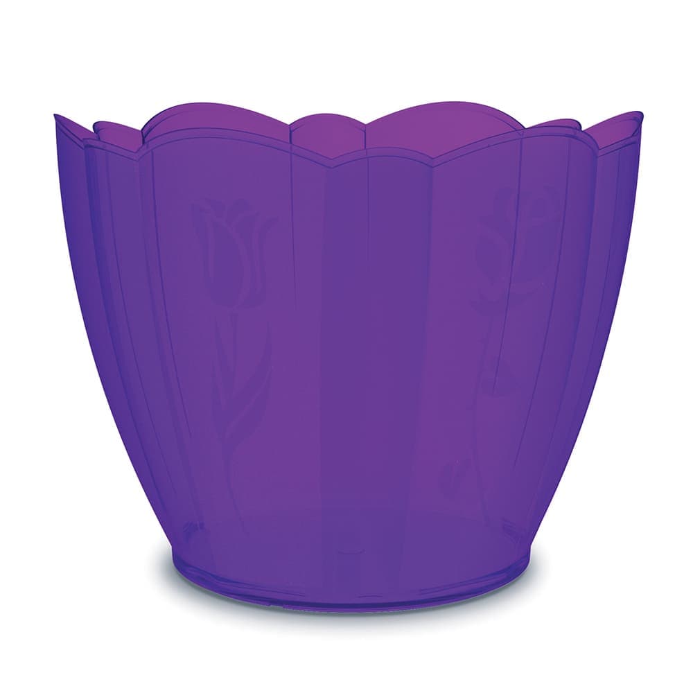 Vaso Roxo