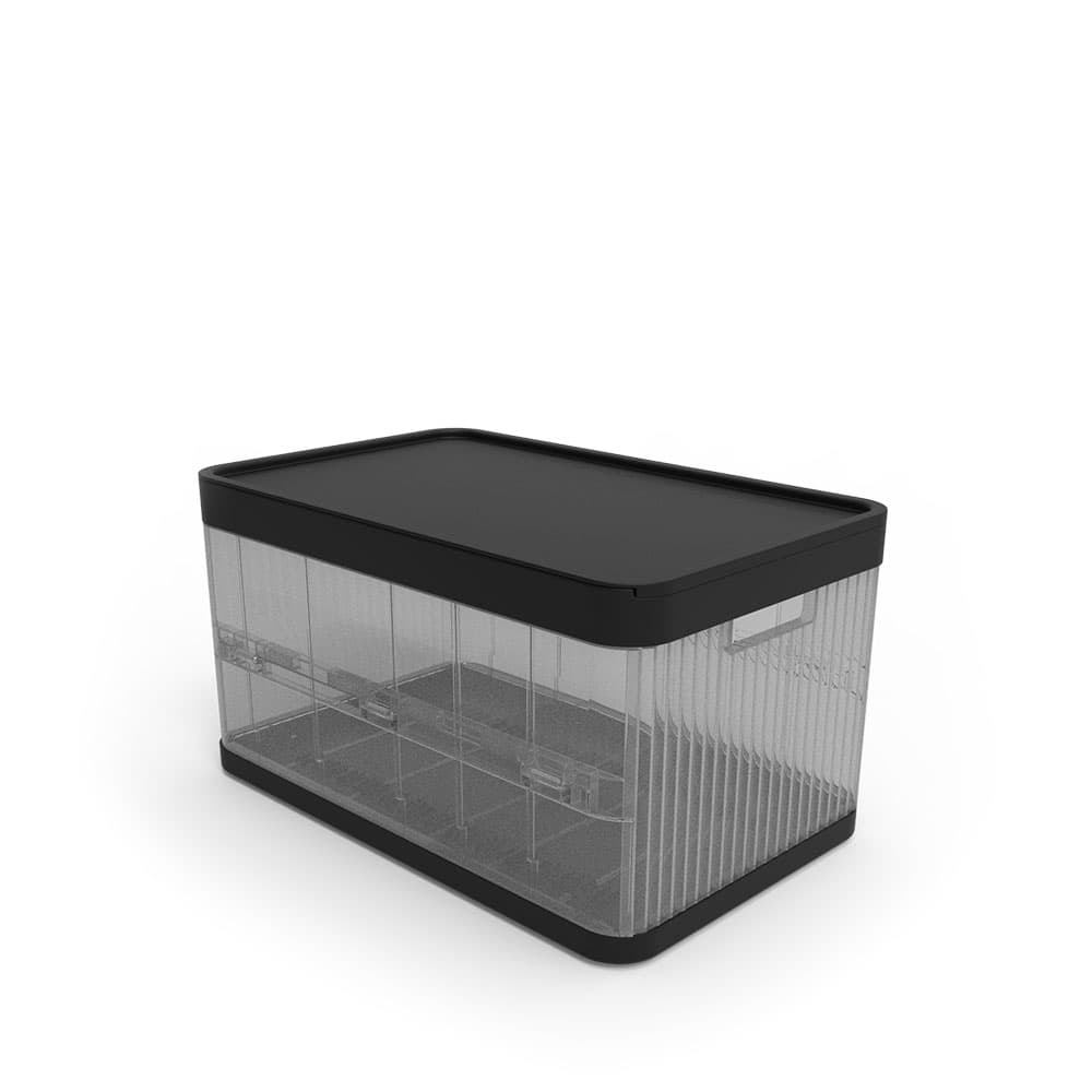 Caixa Organizadora 21L Preto